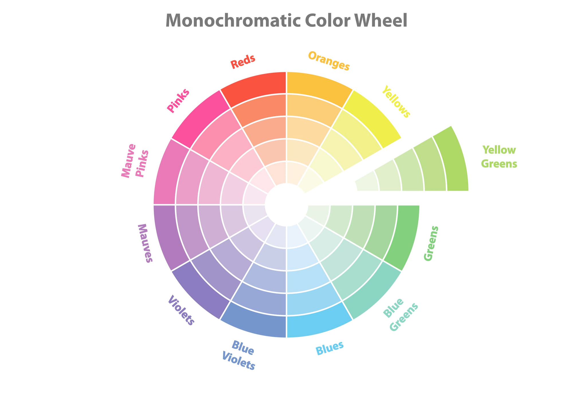 Monochromatic Color Palette