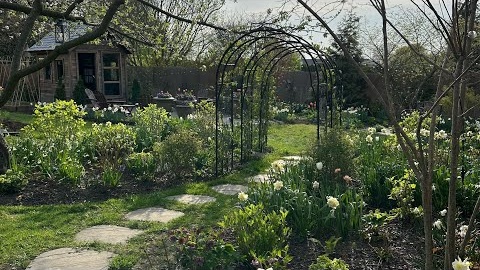 Peaceful Spring Garden Walk / Fancy Daffodils, Early Tulips, Hyacinths, Spring Bouquets & Pots
