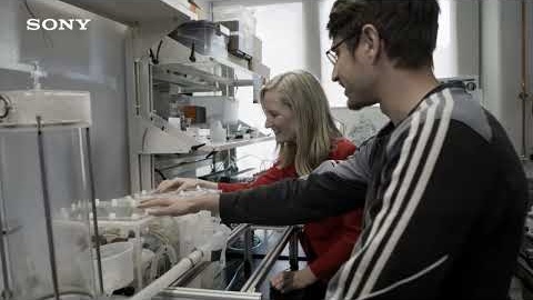 Dr. Ellen Roche｜2026 Award Winner Interview – Sony Women in Technology Award with Nature