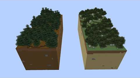 Spruce Vs Birch - 100 Players