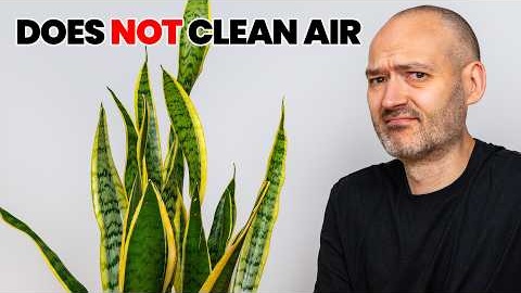 10 Plant Secrets That Are Never Told To Beginners