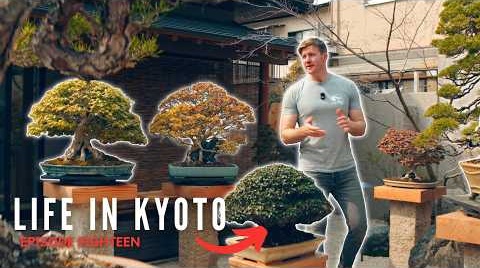 Eisei-en Tree Walkthrough - Spring 2026