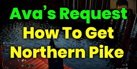 Ava’s Request (How To Get Northern Pike) Quest Full Walkthrough – Crimson Desert