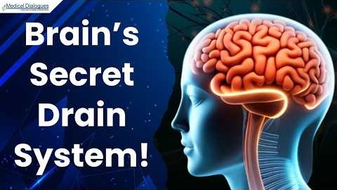 New Study Reveals Hidden Drainage System Within the Human Brain