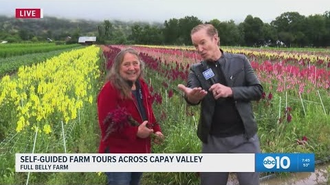 Inside Rustic Ramble: Full Belly Farms