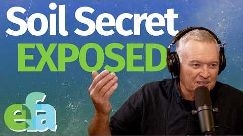 The Hidden Gold in Your Soil (And How to Unlock It)