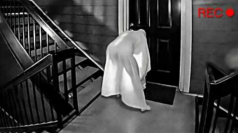 They Set Up a Hidden Camera… What It Caught Is Insane!