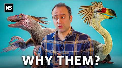 Why Birds Are The Only Surviving Dinosaurs