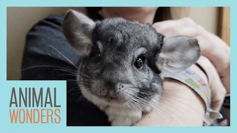 A visit to Animal Wonders!