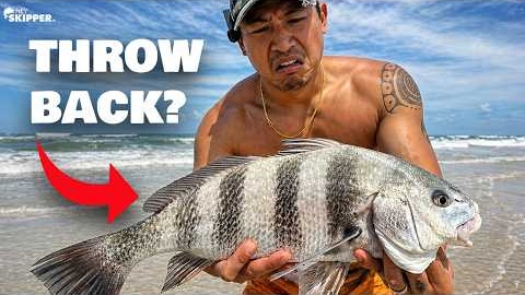 Everyone HATES This Fish, BUT WHY?? Trash Fish or Trash Chefs?