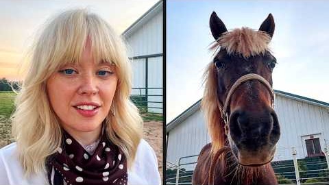 Horse Stole Her Haircut