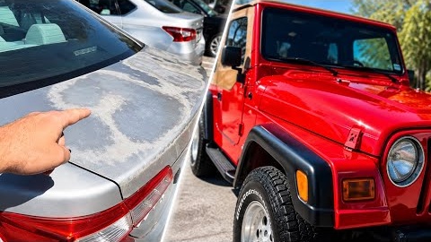 Why Your Car Paint Never Lasts (And Others Do)